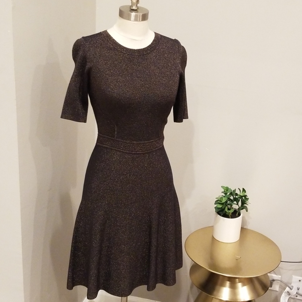 NWT Banana Republic Dresse